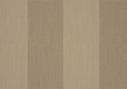 sahara