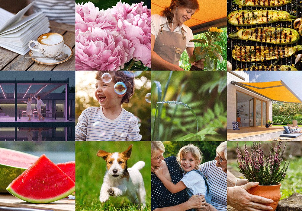Een collage van diverse afbeeldingen met een focus op bloemen, mensen, natuur en zonnige momenten.
