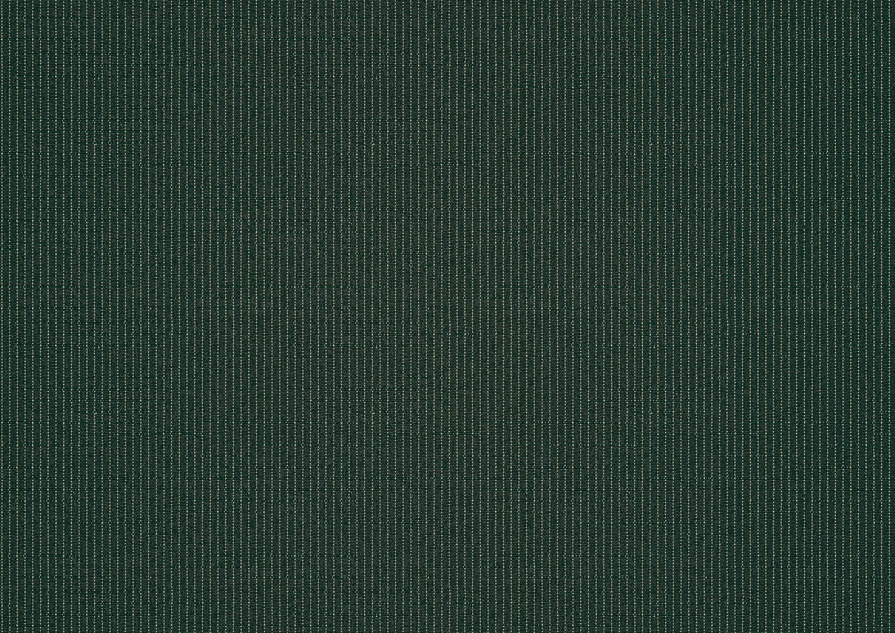 spruce spruce