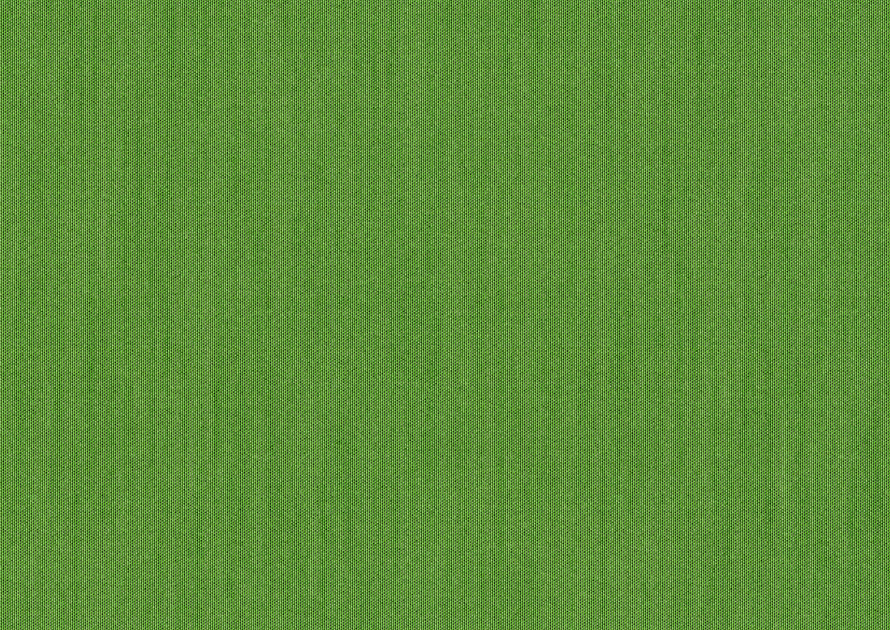 leaf leaf