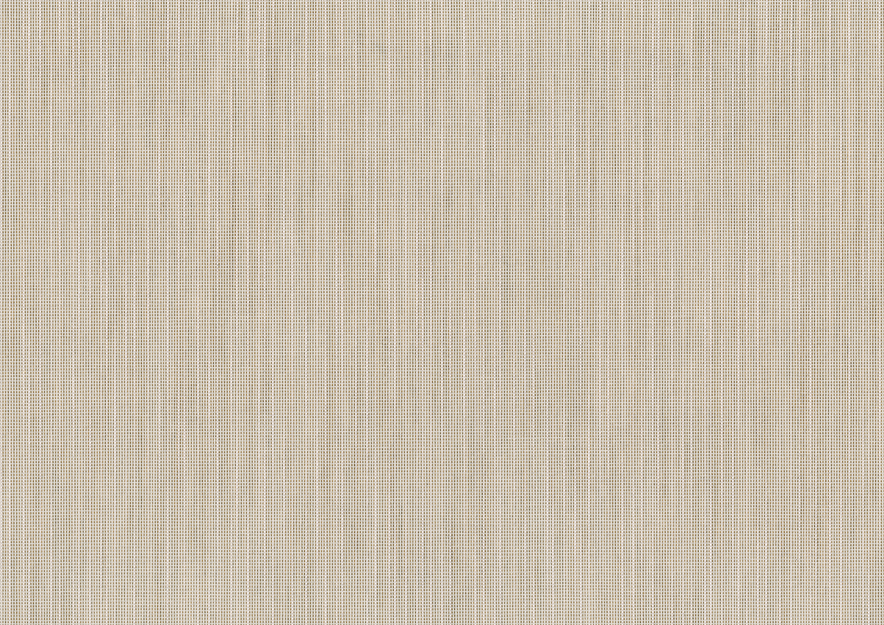 birch birch