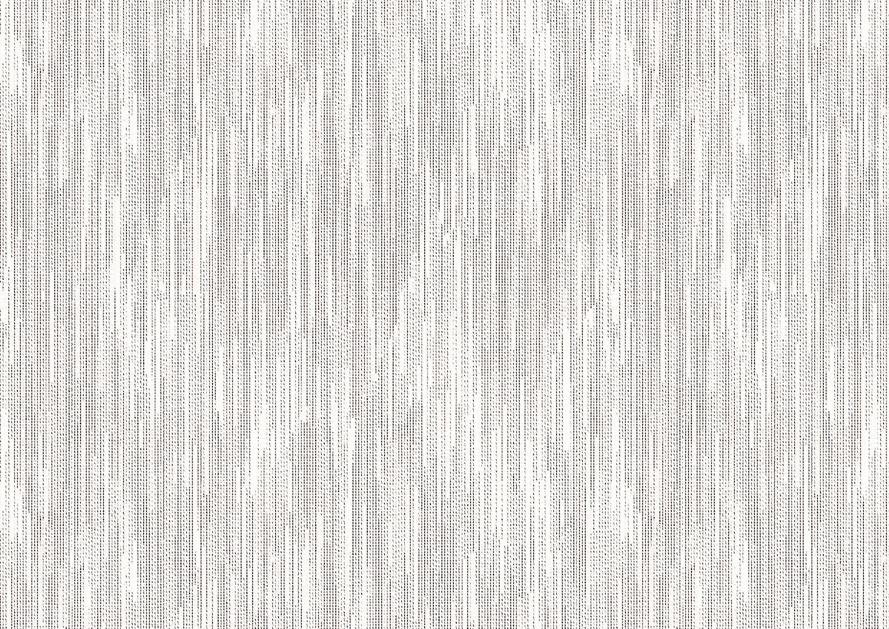 silverbirch