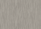 poplar poplar