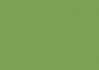 leaf leaf