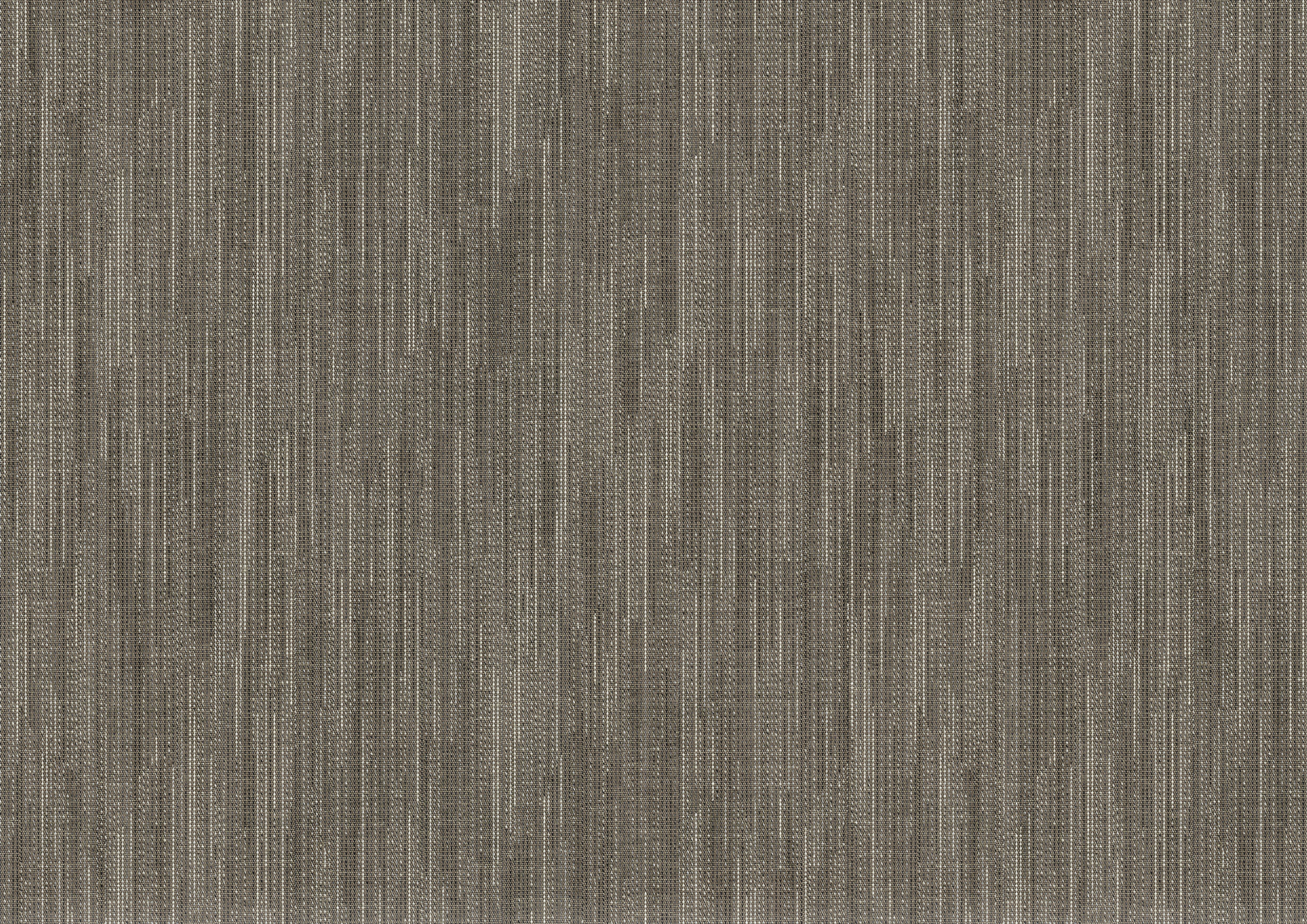 poplar poplar