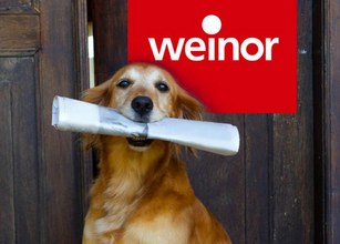 Hond met een krant in zijn bek voor een houten deur met een rode achtergrond en witte tekst. 