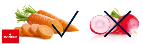 Drie oranje wortels met groene toppen en gesneden schijven, naast een gemarkeerde radijs. Drie oranje wortels met groene toppen en gesneden schijven, naast een gemarkeerde radijs.